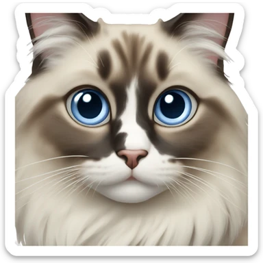 Ragdoll cat sticker