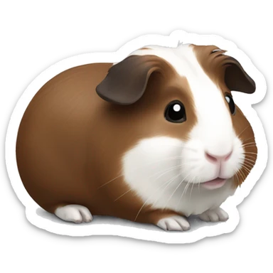Guineapig white and dark brown sticker