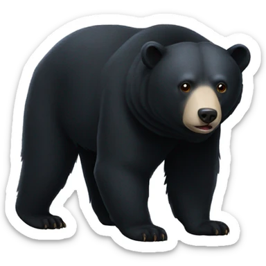 moon bear sticker