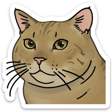 fat tabby cat  sticker