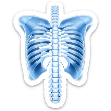 3D render of Spine X-Ray, X-Ray imaging aesthetic, translucent materials showing internal structure, vertebrae column in classic deep blue x-ray style, medical scan style, emoji style, isolated on white background --v 6.0. sticker