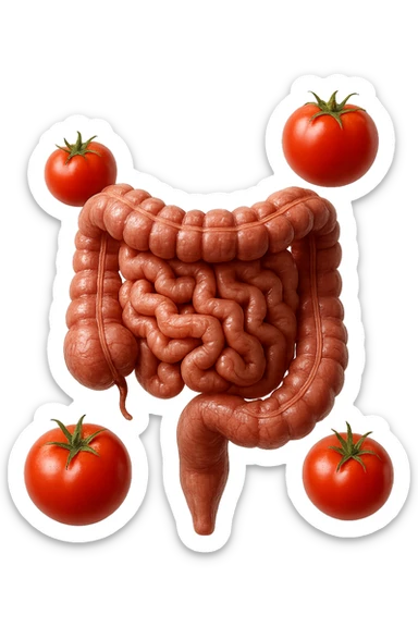 intestino umano anatomico con pomodori che gli fluttuano intorno, iperrealistico 4k sticker