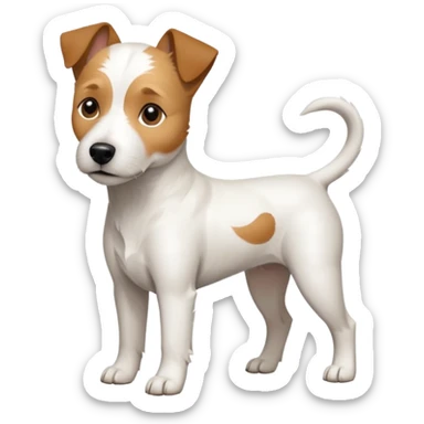 a full body white parson russell looking dog the size of a kelpie with light brown ears and a light brown patch on one eye and a large snout sticker