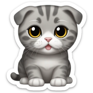 Scottish Fold gray Tommy Hilfiger sticker