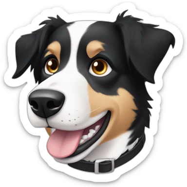 dog, short-hair, black, white-chest, white-stripe-down-face, black-snout, border-collie, mcnab sticker