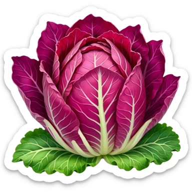 red napa cabbage sticker