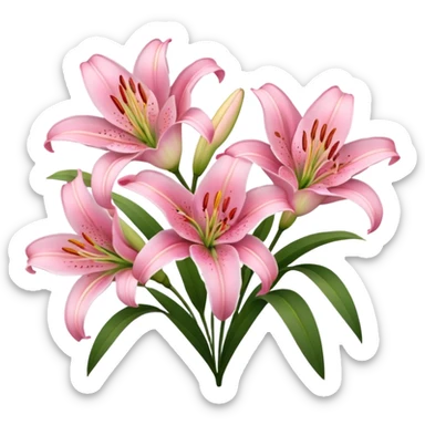 Lilies flower pink sticker