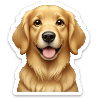 Golden retriever  sticker
