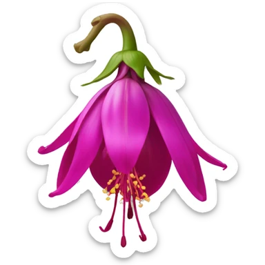 Hybrid Fuchsia sticker