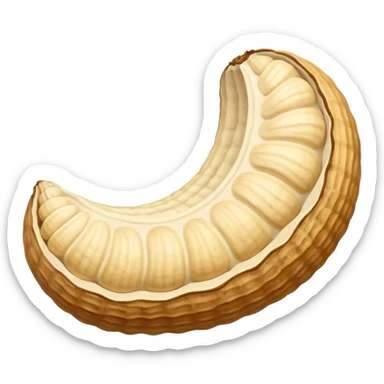 a curve peanut in rough beige textured shells sticker