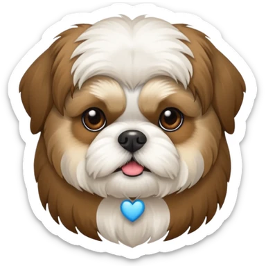 Shihtzu dtehen braun-weiss in einem Herz sticker