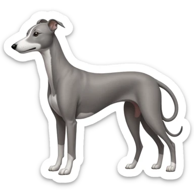 greyhound sticker