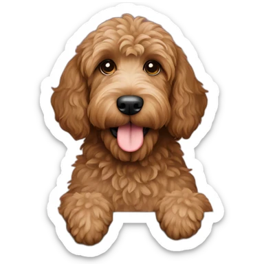 brown labradoodle dog with a laptop sticker