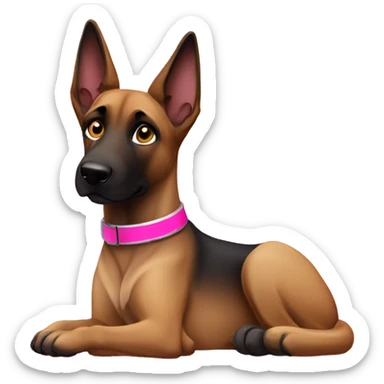 Belgian malinois female with pink collar  sticker