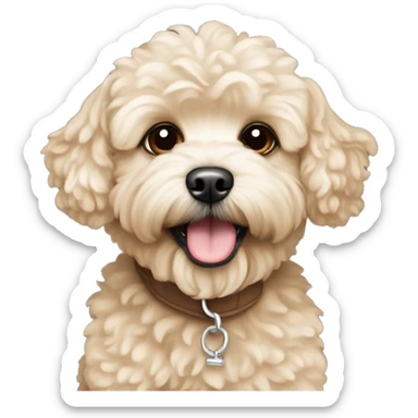 cream sand maltipoo sticker