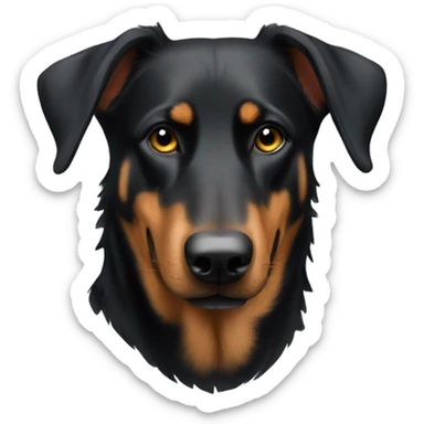 Beauceron Shepard dog  sticker