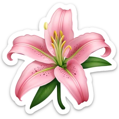 light pink lilium sticker