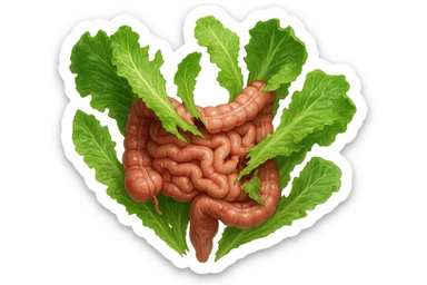 foglie di insalata che attaccano un intestino anatomico umano per distruggerlo, iperrealistico sticker