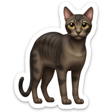 Dark Sokoke Cat Breed Full Body sticker