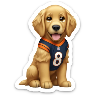 ￼ Golden Retriever wearing a Denver Broncos uniform sticker