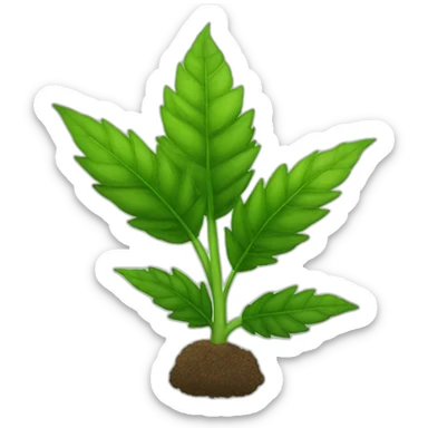 Planta de mariguana  sticker