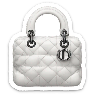 Dior bag sticker