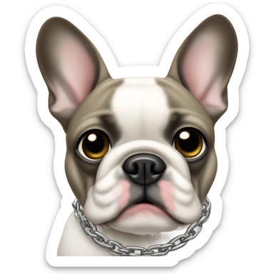 white Frenchie  with chain  sticker