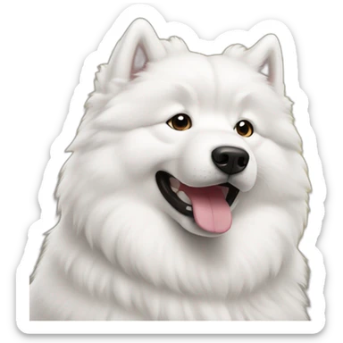 samoyed sticker