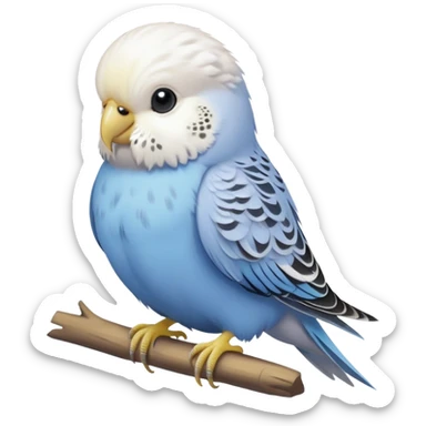 budgie, light grey with a white head sticker