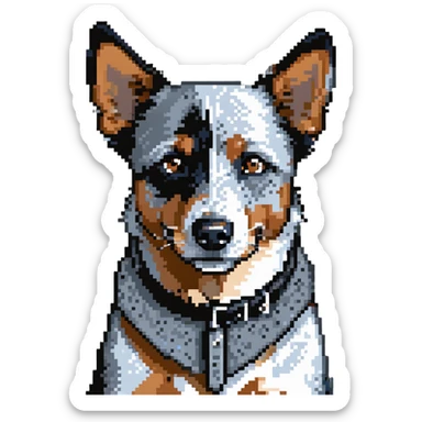 head shot of blue heeler cattle dog with distinctive blue-gray speckled coat sticker