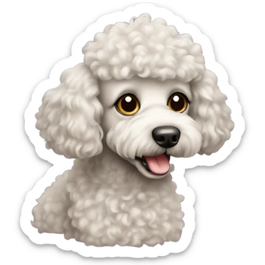 Dog poodle sticker