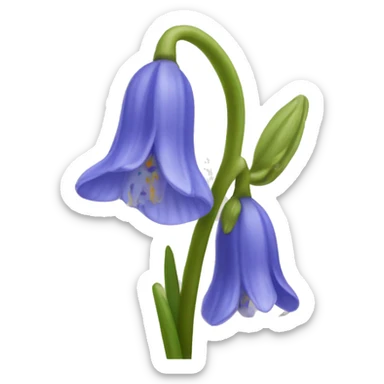 Bluebell sticker