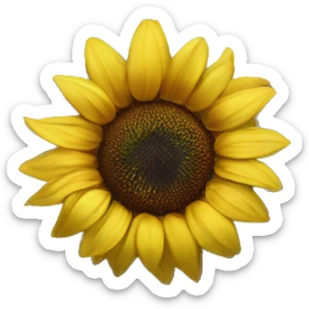 Sunflower on wedding dress sticker