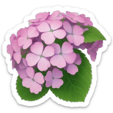 flower hydrangea japan sticker
