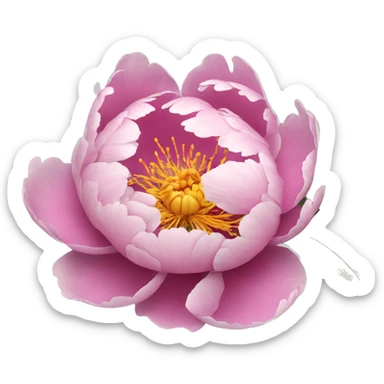 peony flower sticker
