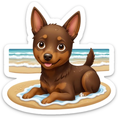 australian kelpie at the beach sticker