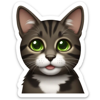 all dark brown and black tabby cat with green eyes and white chin sticker