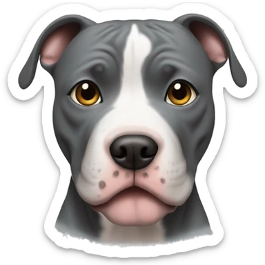 pitbull with a grey spot on his right eye sticker