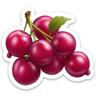 grappe cerise sticker