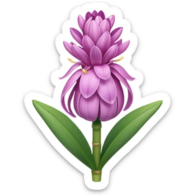 a light margenta  Hyacinth sticker