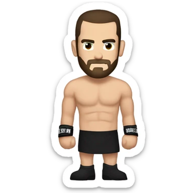 CM Punk Arm logo  sticker
