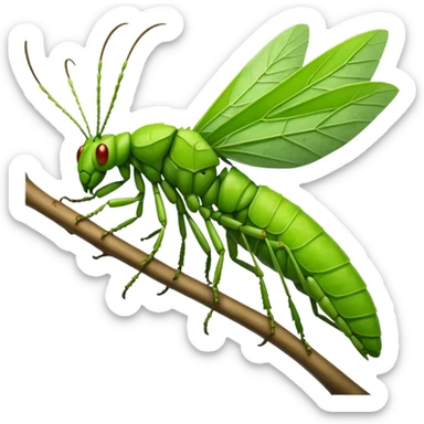 Leaf Insect sticker