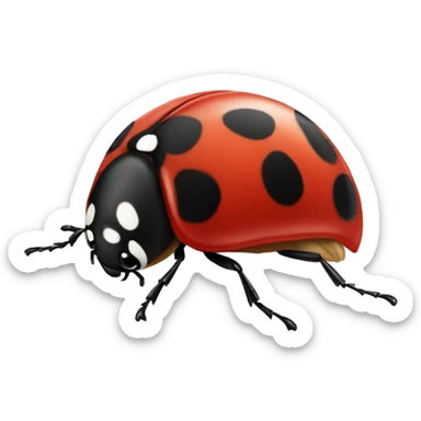 Ladybug  sticker
