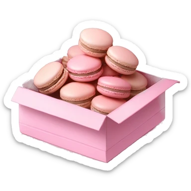 macaroons in baby pink box sticker