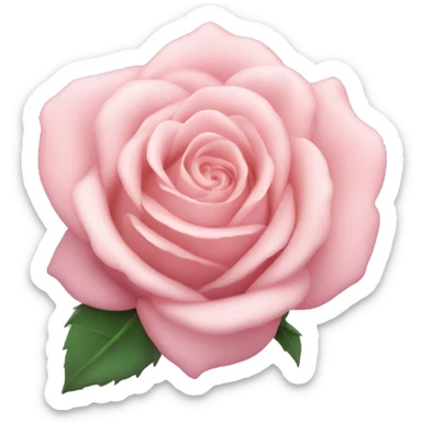 Pastel pink Rose  sticker