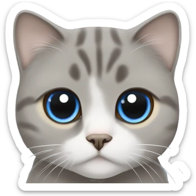 Grey Scottish fold with brown eyes cuddling with beige cat with blue eyes  sticker