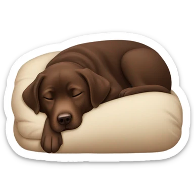Chocolate lab curled up sleeping  sticker