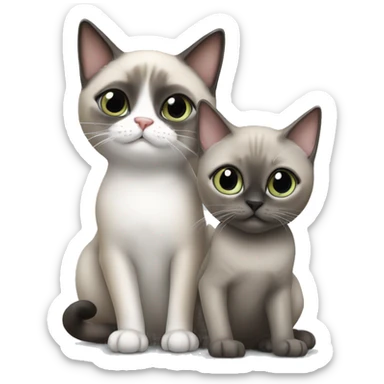 Siamese cat playing with a British gray cat sticker