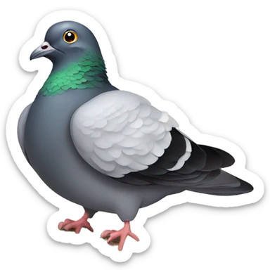 Pigeon sitting on nest sticker