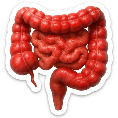 intestino umano anatomico realistico infiammato iperrealistico 4k sticker
